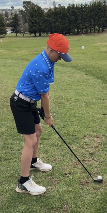 Palm Tree Polo - Blue